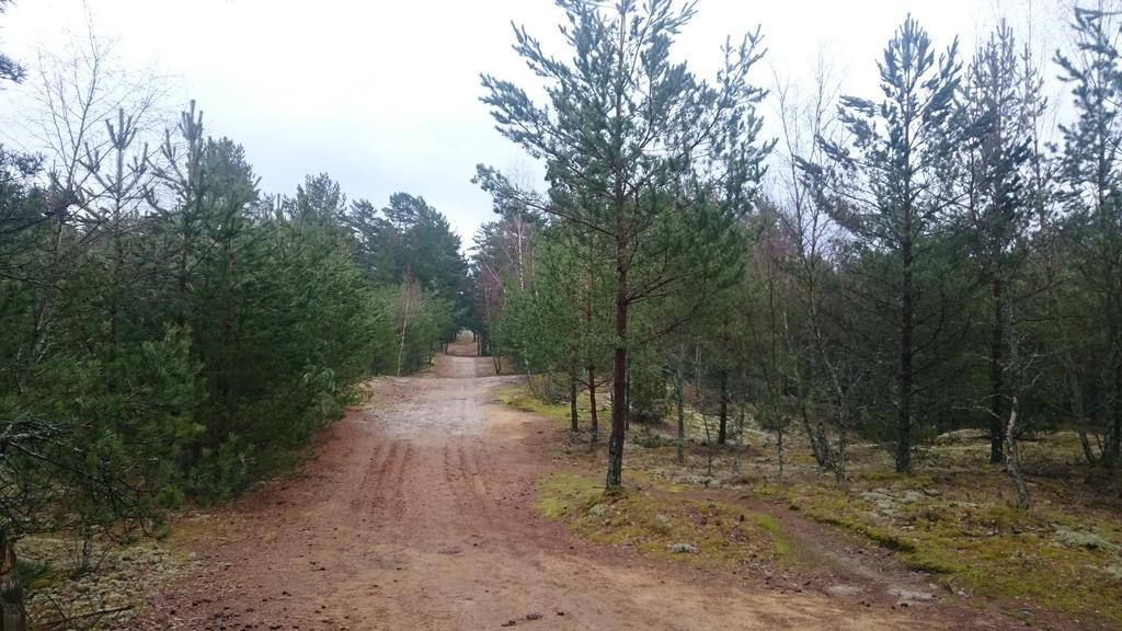 Apartament Nostalgija Is Balkono Nida Zewnętrze zdjęcie